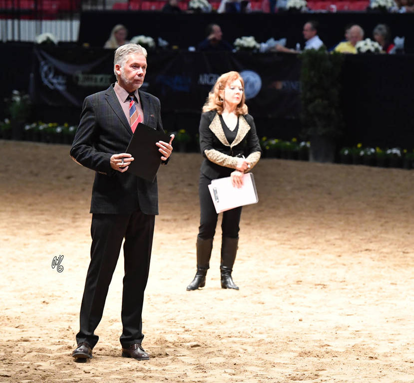    Lisa Abraham: The 2017 Arabian Breeders World Cup Photo Gallery: VEGAS!