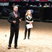    Lisa Abraham: The 2017 Arabian Breeders World Cup Photo Gallery: VEGAS!