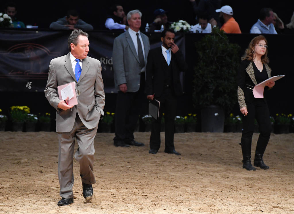    Lisa Abraham: The 2017 Arabian Breeders World Cup Photo Gallery: VEGAS!