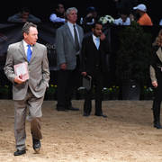    Lisa Abraham: The 2017 Arabian Breeders World Cup Photo Gallery: VEGAS!