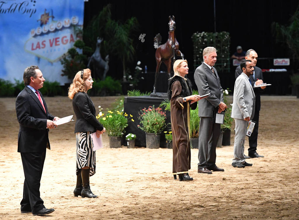    Lisa Abraham: The 2017 Arabian Breeders World Cup Photo Gallery: VEGAS!