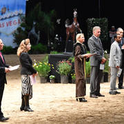    Lisa Abraham: The 2017 Arabian Breeders World Cup Photo Gallery: VEGAS!