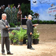    Lisa Abraham: The 2017 Arabian Breeders World Cup Photo Gallery: VEGAS!