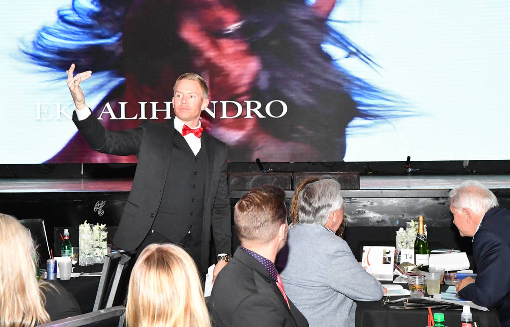    Lisa Abraham: The 2017 Arabian Breeders World Cup Photo Gallery: VEGAS!