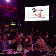    Lisa Abraham: The 2017 Arabian Breeders World Cup Photo Gallery: VEGAS!