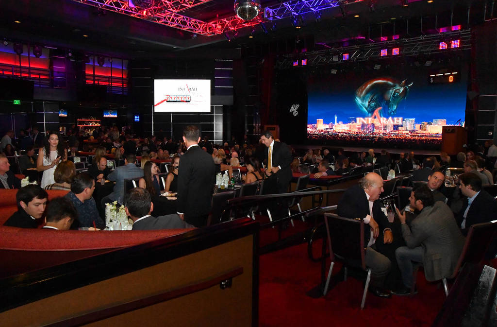    Lisa Abraham: The 2017 Arabian Breeders World Cup Photo Gallery: VEGAS!