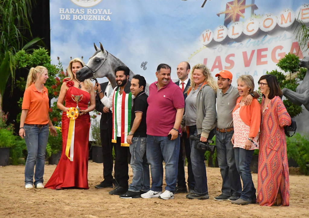 Senior Breeding Mares 5 Years: KAS Katara 