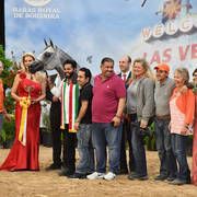 Senior Breeding Mares 5 Years: KAS Katara 