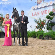 Junior Stallions of 2014:  Veyron ORA