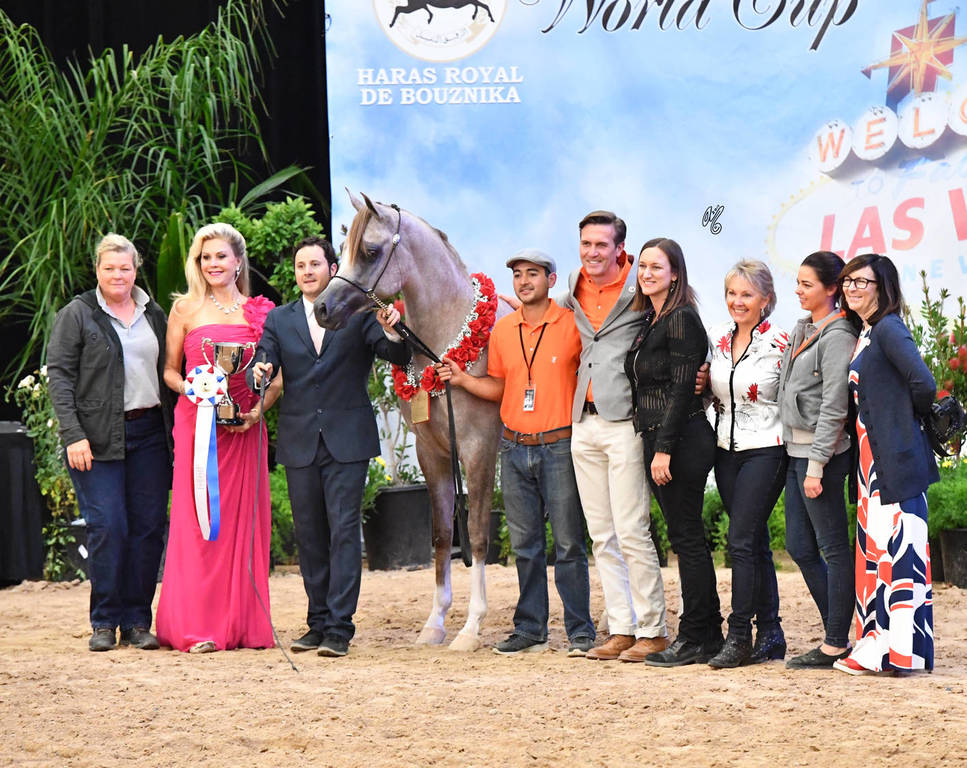 Junior Colts of 2015: Misrah Aljassimya