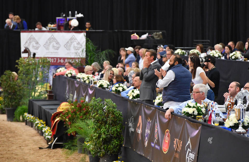    Lisa Abraham: The 2017 Arabian Breeders World Cup Photo Gallery: VEGAS!