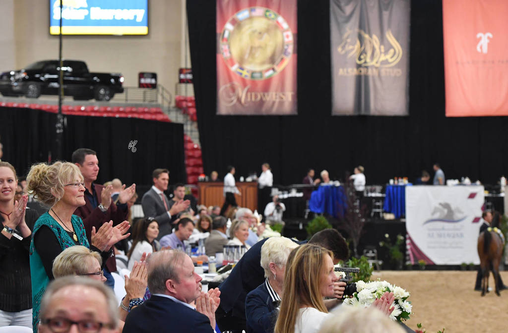    Lisa Abraham: The 2017 Arabian Breeders World Cup Photo Gallery: VEGAS!