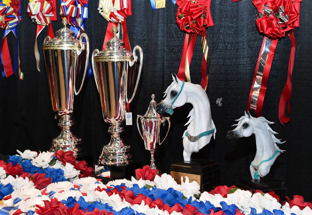    Lisa Abraham: The 2017 Arabian Breeders World Cup Photo Gallery: VEGAS!