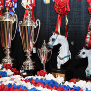    Lisa Abraham: The 2017 Arabian Breeders World Cup Photo Gallery: VEGAS!