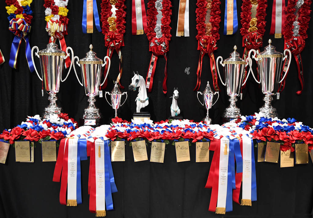    Lisa Abraham: The 2017 Arabian Breeders World Cup Photo Gallery: VEGAS!