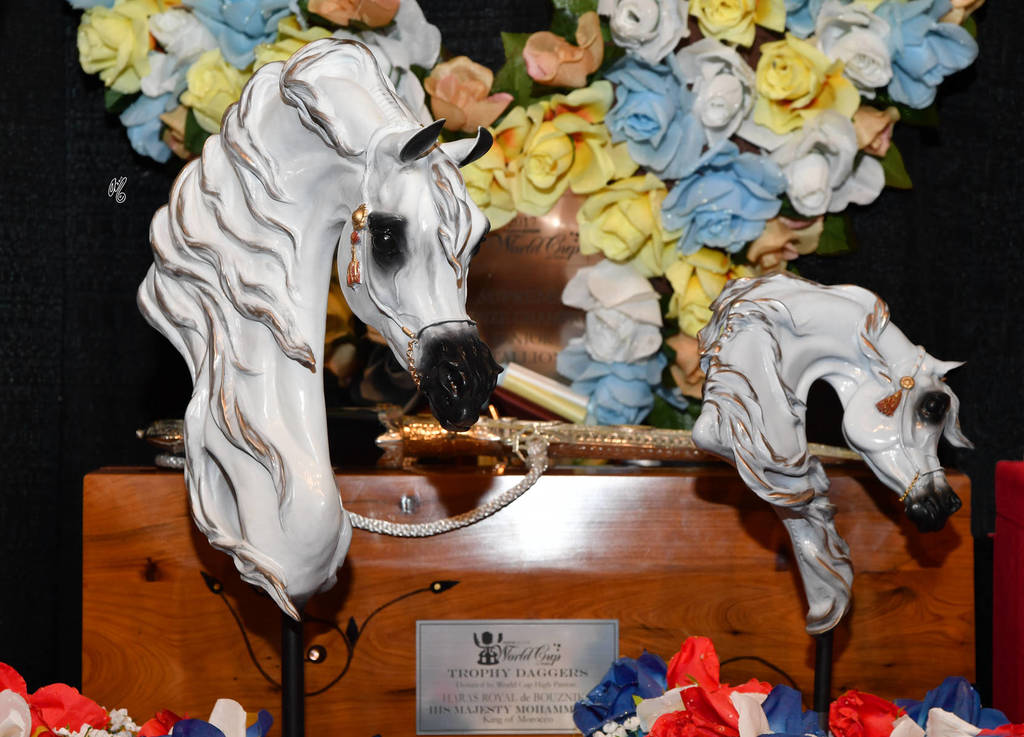    Lisa Abraham: The 2017 Arabian Breeders World Cup Photo Gallery: VEGAS!