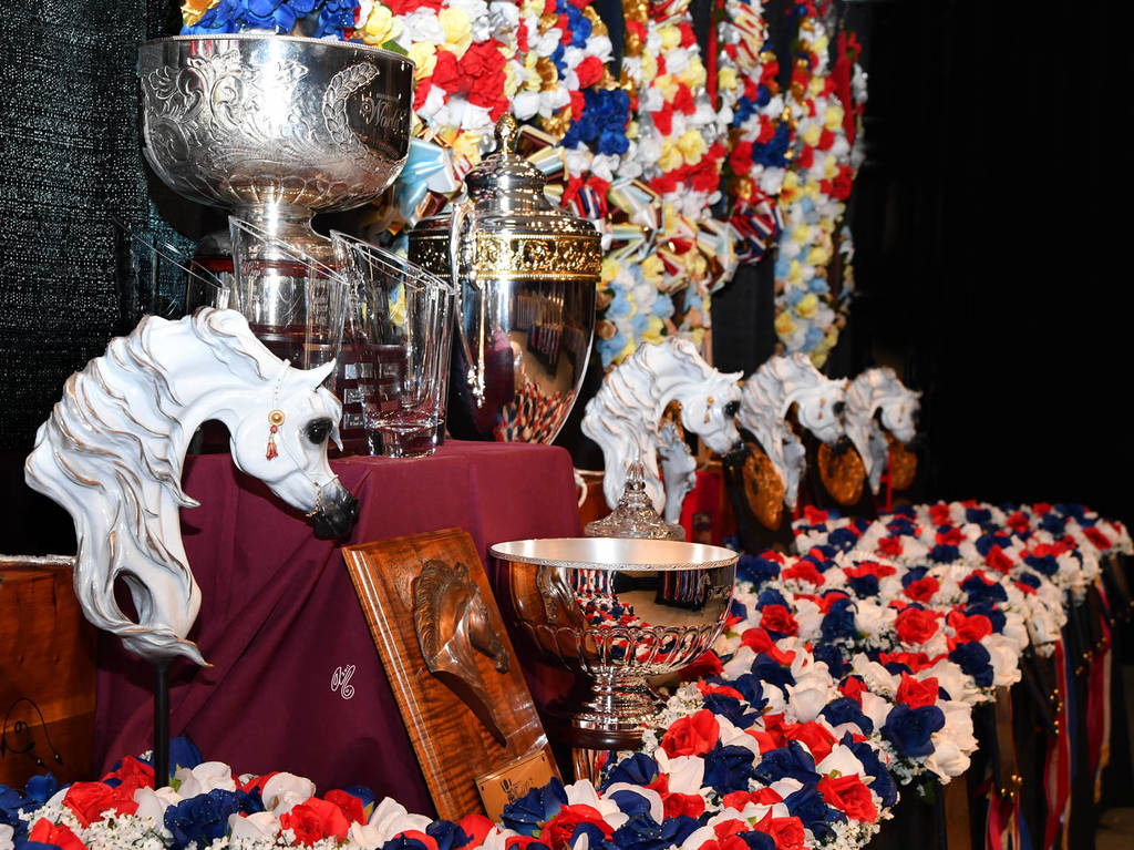    Lisa Abraham: The 2017 Arabian Breeders World Cup Photo Gallery: VEGAS!