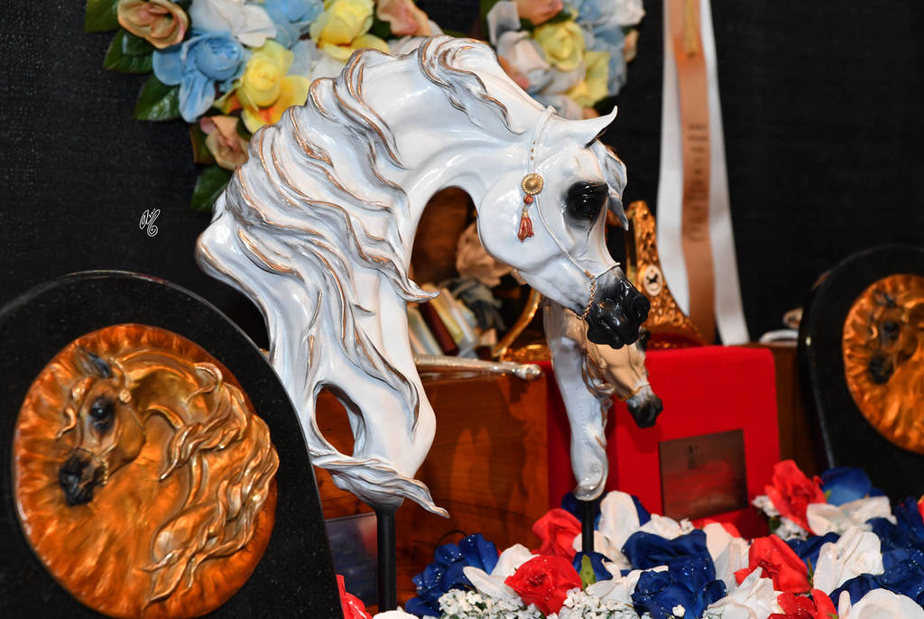    Lisa Abraham: The 2017 Arabian Breeders World Cup Photo Gallery: VEGAS!