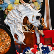    Lisa Abraham: The 2017 Arabian Breeders World Cup Photo Gallery: VEGAS!