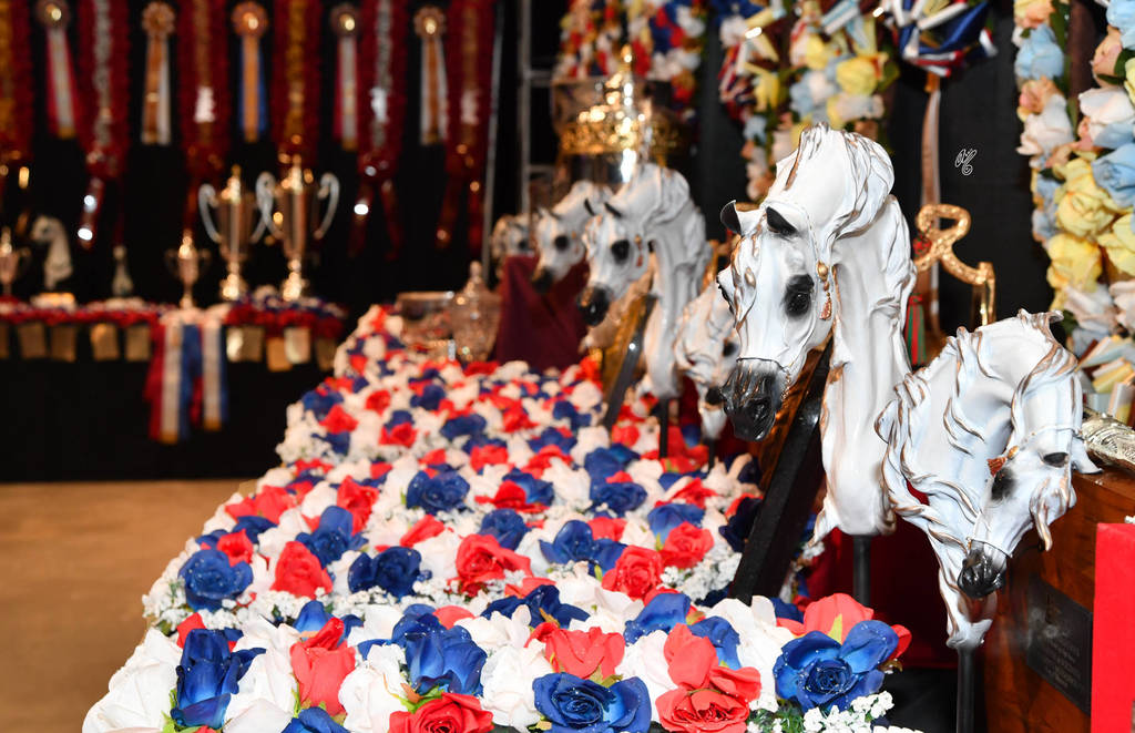    Lisa Abraham: The 2017 Arabian Breeders World Cup Photo Gallery: VEGAS!