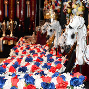    Lisa Abraham: The 2017 Arabian Breeders World Cup Photo Gallery: VEGAS!