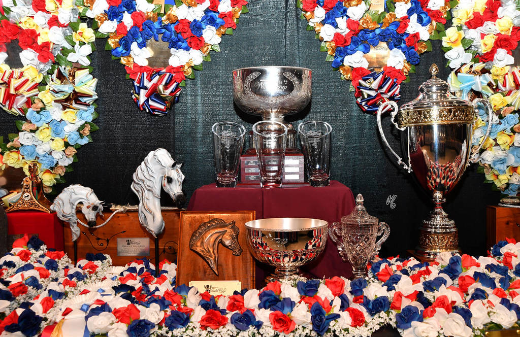    Lisa Abraham: The 2017 Arabian Breeders World Cup Photo Gallery: VEGAS!