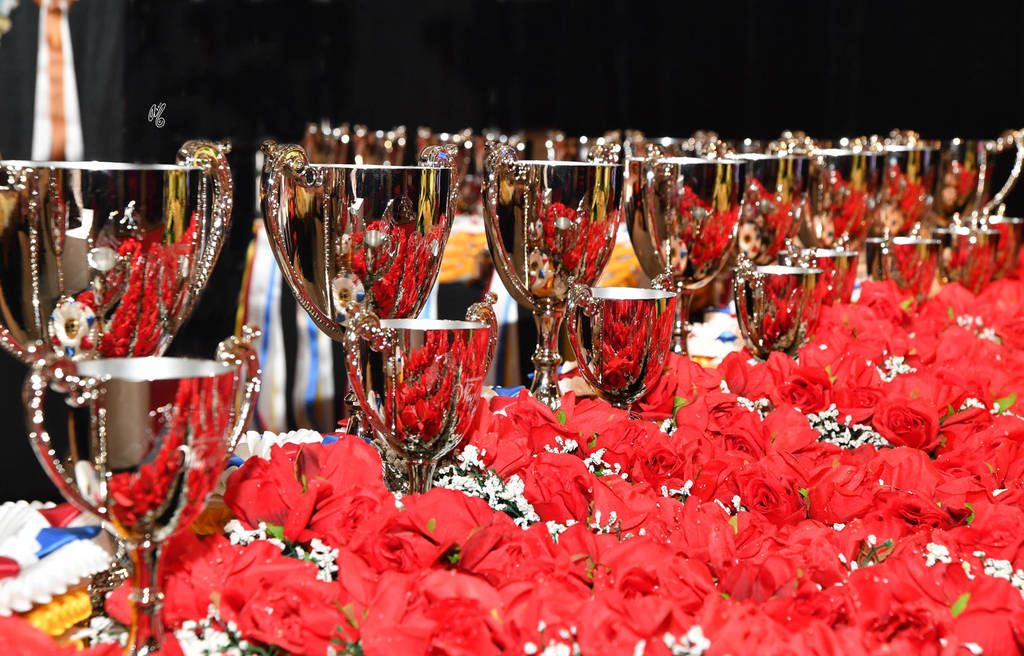    Lisa Abraham: The 2017 Arabian Breeders World Cup Photo Gallery: VEGAS!