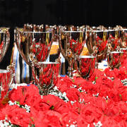    Lisa Abraham: The 2017 Arabian Breeders World Cup Photo Gallery: VEGAS!