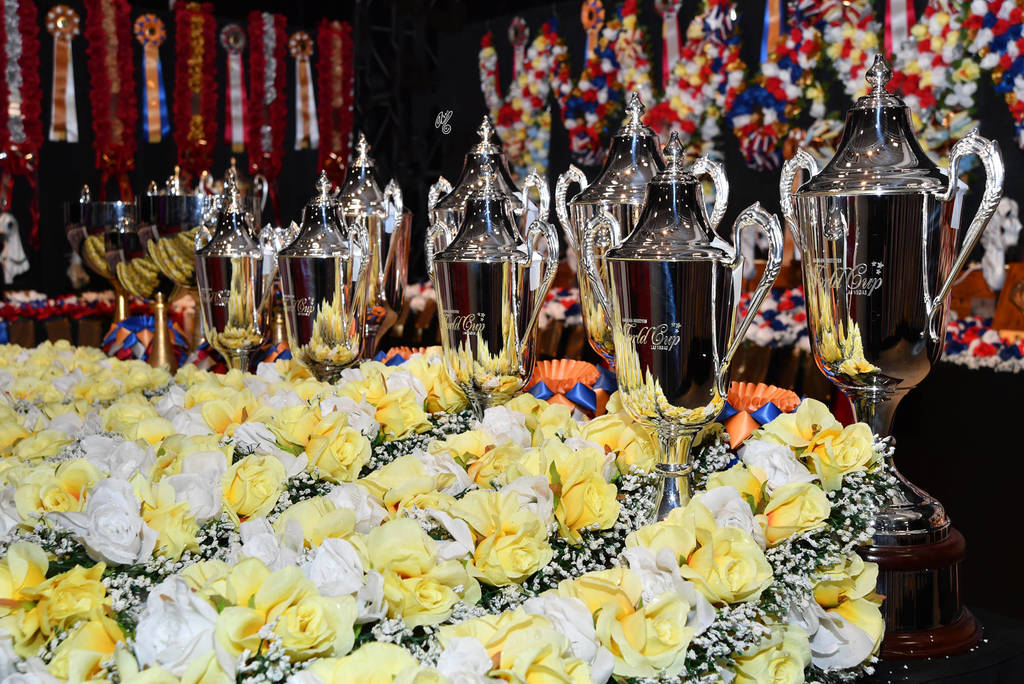    Lisa Abraham: The 2017 Arabian Breeders World Cup Photo Gallery: VEGAS!