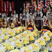    Lisa Abraham: The 2017 Arabian Breeders World Cup Photo Gallery: VEGAS!