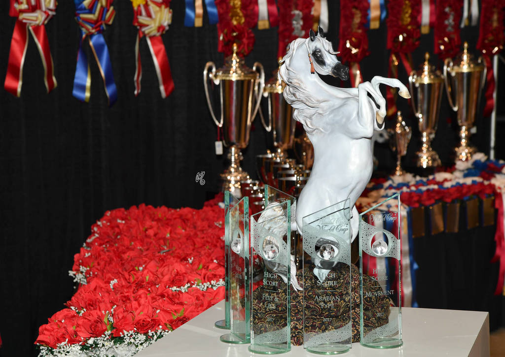    Lisa Abraham: The 2017 Arabian Breeders World Cup Photo Gallery: VEGAS!