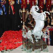    Lisa Abraham: The 2017 Arabian Breeders World Cup Photo Gallery: VEGAS!