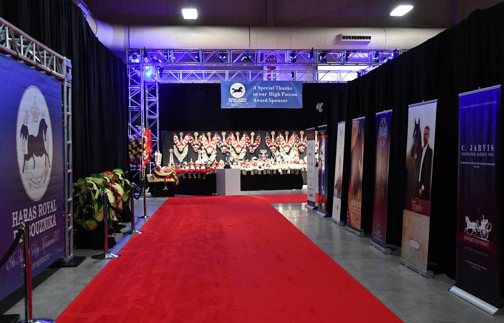    Lisa Abraham: The 2017 Arabian Breeders World Cup Photo Gallery: VEGAS!