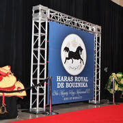    Lisa Abraham: The 2017 Arabian Breeders World Cup Photo Gallery: VEGAS!