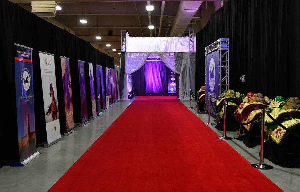    Lisa Abraham: The 2017 Arabian Breeders World Cup Photo Gallery: VEGAS!