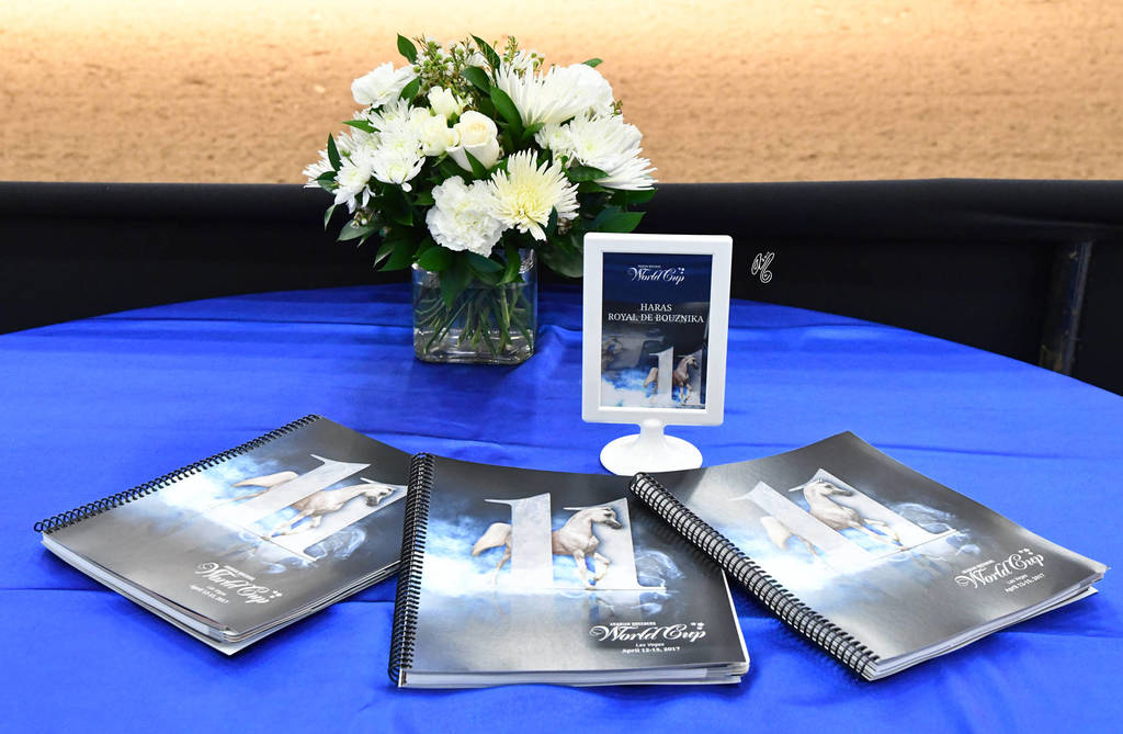    Lisa Abraham: The 2017 Arabian Breeders World Cup Photo Gallery: VEGAS!