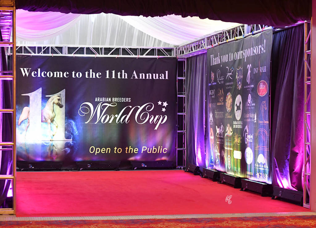    Lisa Abraham: The 2017 Arabian Breeders World Cup Photo Gallery: VEGAS!