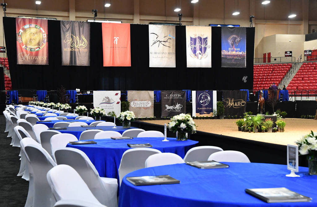    Lisa Abraham: The 2017 Arabian Breeders World Cup Photo Gallery: VEGAS!