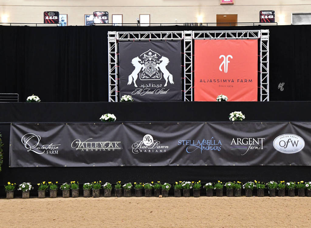    Lisa Abraham: The 2017 Arabian Breeders World Cup Photo Gallery: VEGAS!