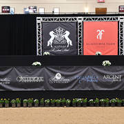    Lisa Abraham: The 2017 Arabian Breeders World Cup Photo Gallery: VEGAS!