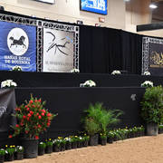    Lisa Abraham: The 2017 Arabian Breeders World Cup Photo Gallery: VEGAS!