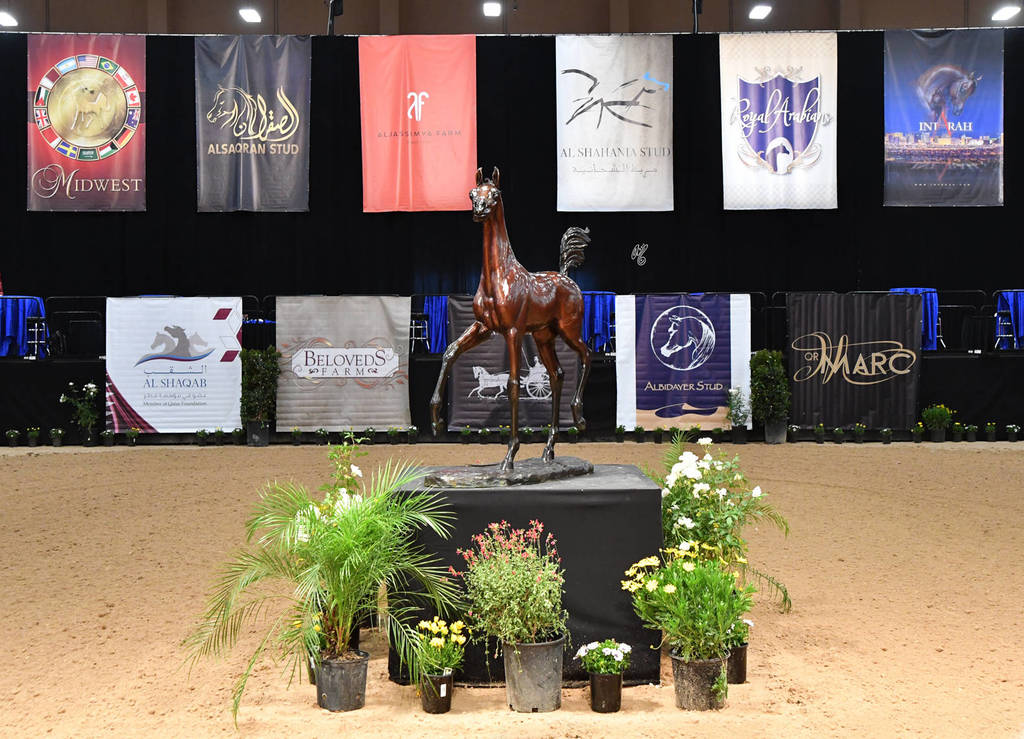    Lisa Abraham: The 2017 Arabian Breeders World Cup Photo Gallery: VEGAS!