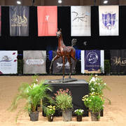    Lisa Abraham: The 2017 Arabian Breeders World Cup Photo Gallery: VEGAS!