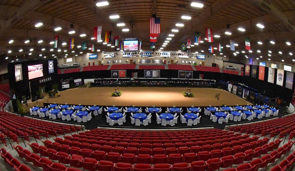    Lisa Abraham: The 2017 Arabian Breeders World Cup Photo Gallery: VEGAS!