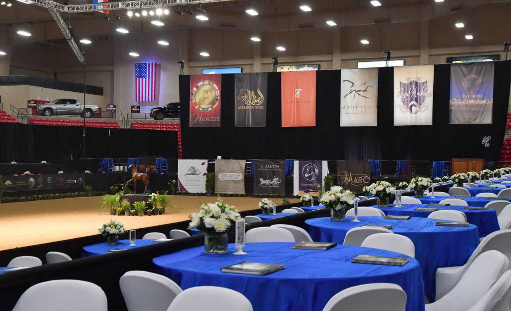    Lisa Abraham: The 2017 Arabian Breeders World Cup Photo Gallery: VEGAS!