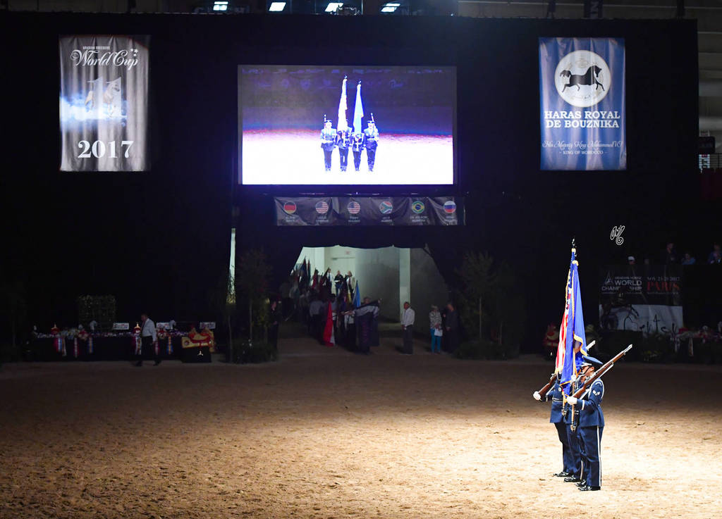    Lisa Abraham: The 2017 Arabian Breeders World Cup Photo Gallery: VEGAS!