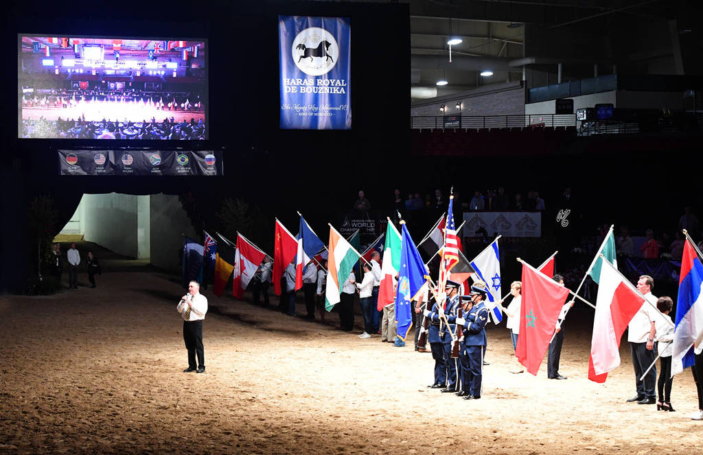    Lisa Abraham: The 2017 Arabian Breeders World Cup Photo Gallery: VEGAS!