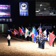    Lisa Abraham: The 2017 Arabian Breeders World Cup Photo Gallery: VEGAS!