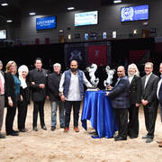 Sheikh Hamad bin Ali Al Thani accepted for HH Sheihk Hamad bin Khalifa Al Thani 