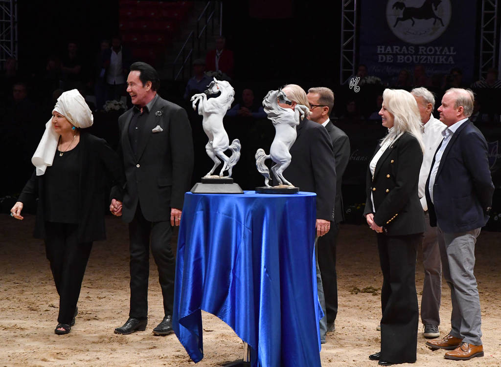   Lisa Abraham: The 2017 Arabian Breeders World Cup Photo Gallery: VEGAS!